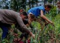 El lunes comienza el Ahora Chacra, destinado a productores agropecuarios