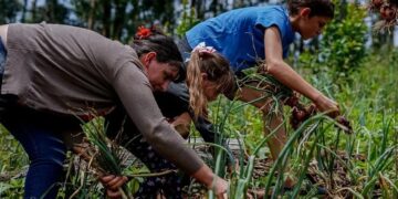 El lunes comienza el Ahora Chacra, destinado a productores agropecuarios
