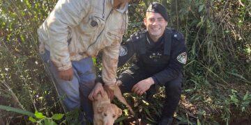 La Policía salvó a “Pitoca”, una perra que estuvo días atrapada en un pozo en Campo Viera