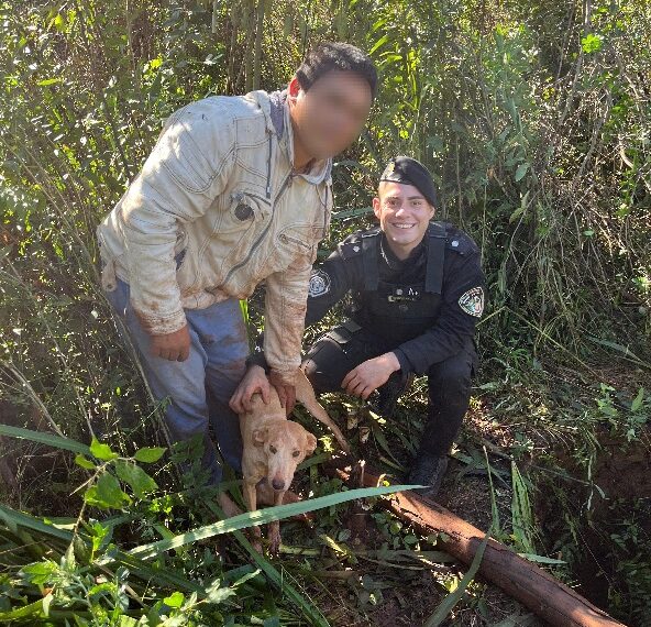 La Policía salvó a “Pitoca”, una perra que estuvo días atrapada en un pozo en Campo Viera