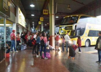 El Gobierno dejó de compensar a las empresas por los pasajes gratuitos para personas con discapacidad
