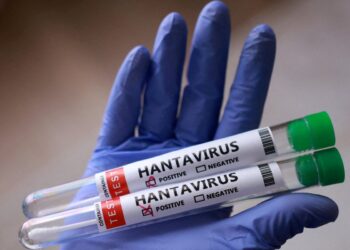 El instituto Malbrán profundizará la investigación sobre hantavirus en Ushuaia tras el brote en el crucero