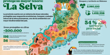 Misiones conserva unas 500 mil áreas de selva en áreas protegida