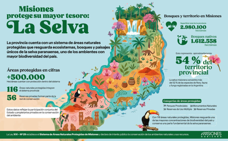 Misiones conserva unas 500 mil áreas de selva en áreas protegida