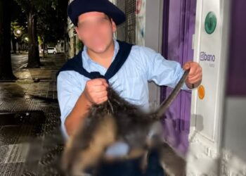 Conmoción en Bahía Blanca: denunciaron a dos jóvenes por matar a golpes a una nutria y grabar el ataque