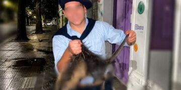 Conmoción en Bahía Blanca: denunciaron a dos jóvenes por matar a golpes a una nutria y grabar el ataque