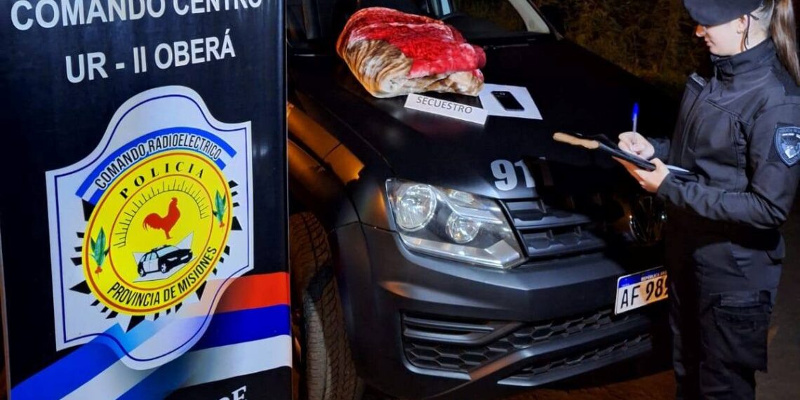 Le robó una frazada de tigre a su ex, la vendió y terminó detenido en Oberá