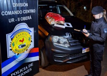 Le robó una frazada de tigre a su ex, la vendió y terminó detenido en Oberá