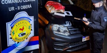 Le robó una frazada de tigre a su ex, la vendió y terminó detenido en Oberá