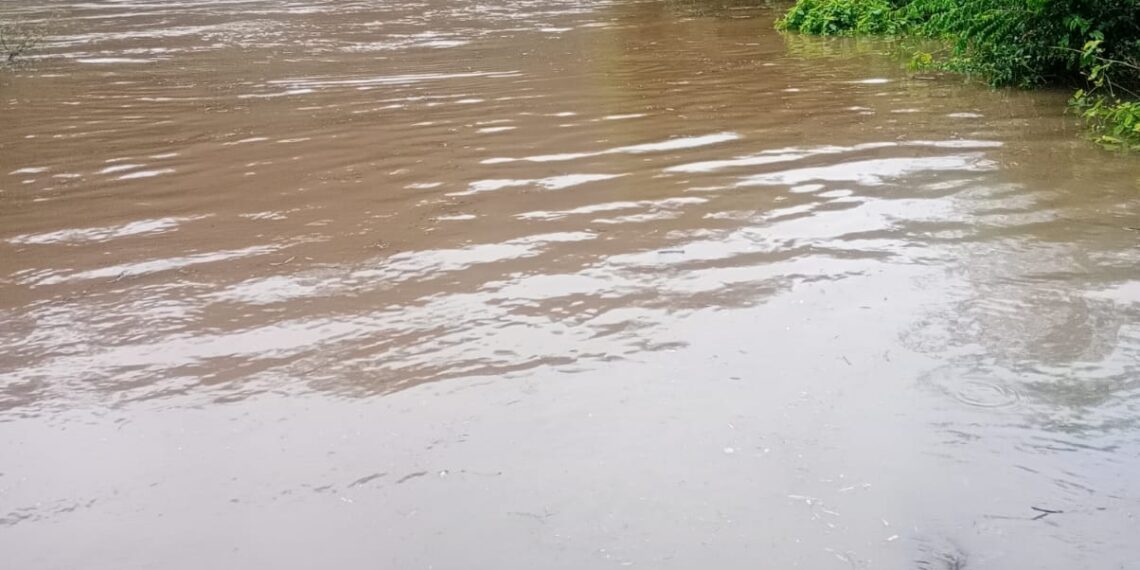 Por la crecida del arroyo Yabotí, cerraron el acceso al Parque Provincial Moconá