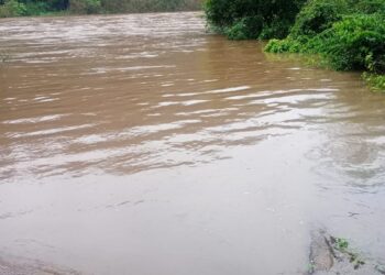 Por la crecida del arroyo Yabotí, cerraron el acceso al Parque Provincial Moconá