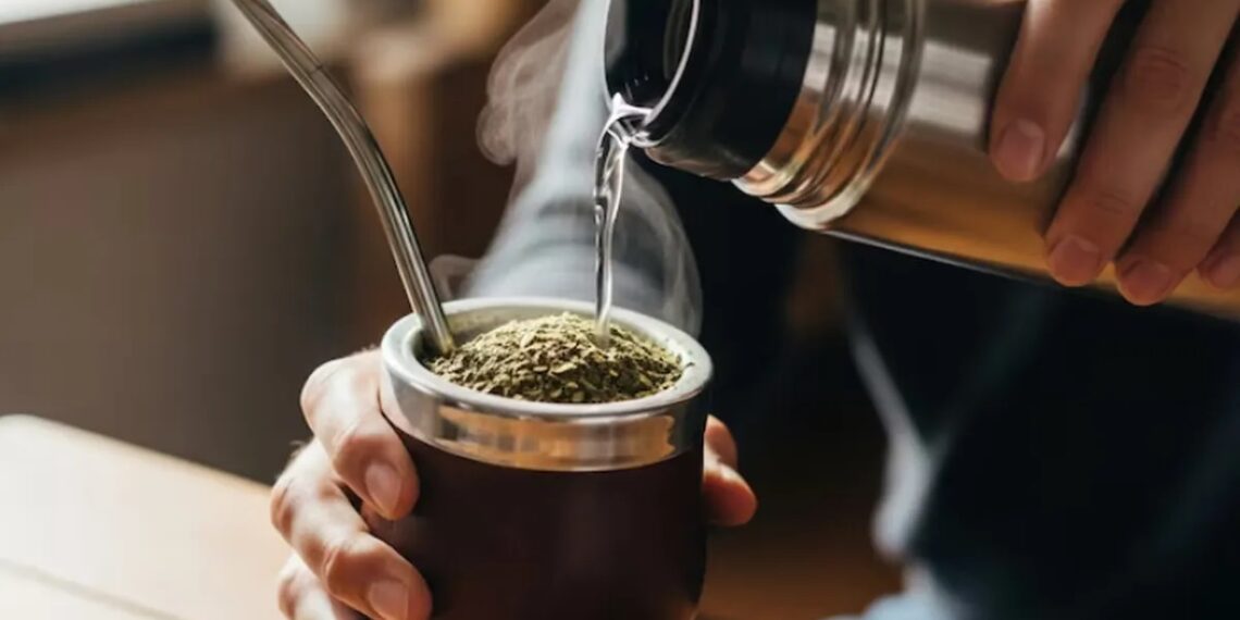 Doce marcas de Misiones marcarán una fuerte presencia en el Primer Mundial de la Yerba Mate