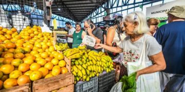 Desde hoy entran en vigencia nuevos programas: Ahora Chacra, Ahora Verdulería y Ahora Sepelios
