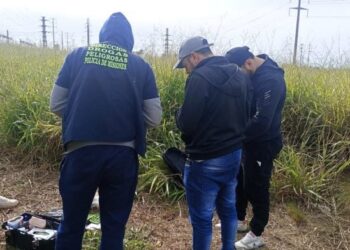 Posadas: incaurtaron marihuana valuada en casi tres millones de pesos