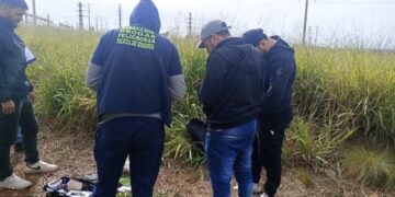 Posadas: incaurtaron marihuana valuada en casi tres millones de pesos
