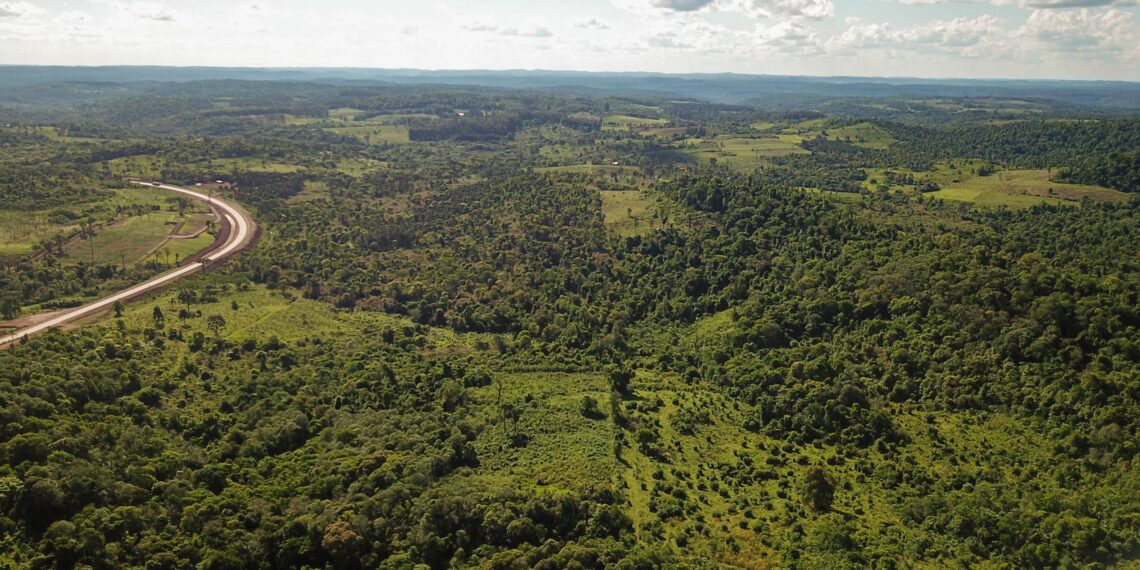 Impulsan una ley para crear un Escudo Satelital que proteja la Selva Misionera