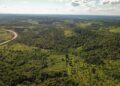 Impulsan una ley para crear un Escudo Satelital que proteja la Selva Misionera