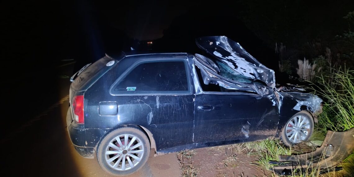Dos accidentes involucraron a equinos: el primero en la Costera 2 y otro en Ruta 14