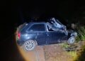 Dos accidentes involucraron a equinos: el primero en la Costera 2 y otro en Ruta 14