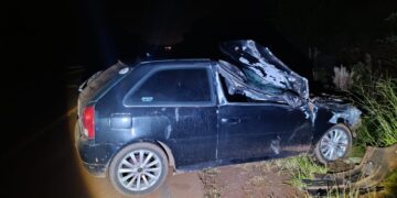Dos accidentes involucraron a equinos: el primero en la Costera 2 y otro en Ruta 14