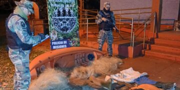Detectaron un campamento de caza furtiva, secuestraron armas y restos de fauna protegida en Puerto Piray