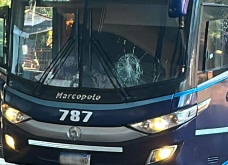 Llegó alcoholizado a la terminal, creyó que el colectivo se había retrasado y lo atacó a pedradas: terminó preso