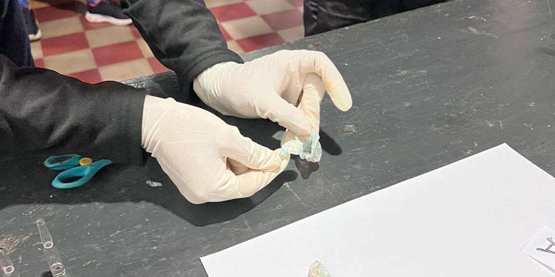 El postre tenía cocaína: la descubrieron con droga oculta para sus hermanos detenidos