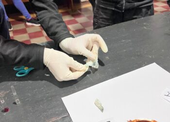 El postre tenía cocaína: la descubrieron con droga oculta para sus hermanos detenidos