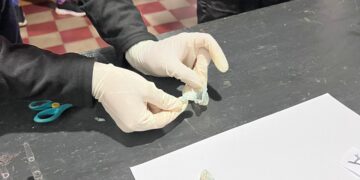 El postre tenía cocaína: la descubrieron con droga oculta para sus hermanos detenidos