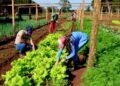 22 de Junio: se recuerda el Día de las EFAS en Misiones
