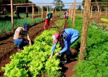 22 de Junio: se recuerda el Día de las EFAS en Misiones