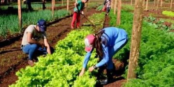 22 de Junio: se recuerda el Día de las EFAS en Misiones