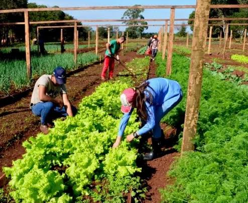 22 de Junio: se recuerda el Día de las EFAS en Misiones