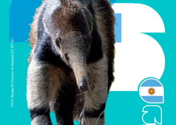 Mundial 2026: Fundación Vida Silvestre Argentina lanza figuritas de especies para celebrar y proteger la biodiversidad