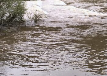 Permanece cerrado el acceso al Parque Provincial Moconá por la crecida del arroyo Yabotí