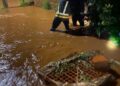 Temporal en Oberá: rescataron a una mujer, evacuaron familias y asistieron a vecinos afectados por las inundaciones