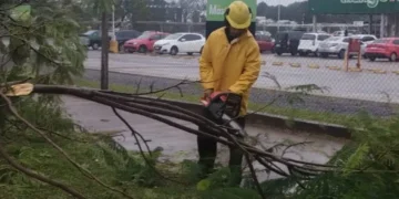 Por las intensas lluvias, la Municipalidad asistió a vecinos de Posadas
