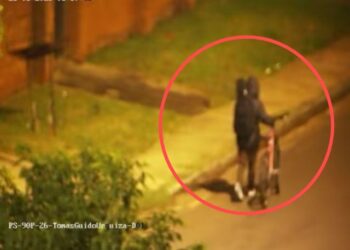 Dijo que era violinista pero resultó ser un ladrón con antecedentes y fue detenido tras ser detectado por el CIO 911