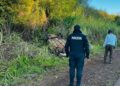 Perdió el control del auto y terminó volcado al costado de la ruta en El Soberbio