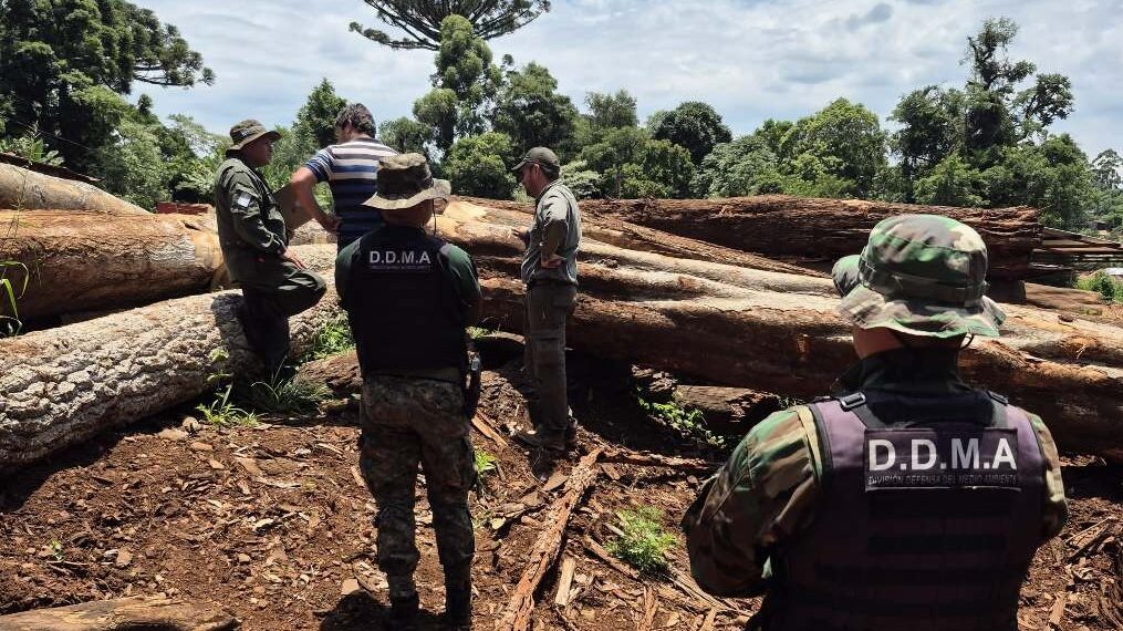 Misiones creó un registro para sancionar y controlar infractores ambientales