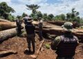 Misiones creó un registro para sancionar y controlar infractores ambientales