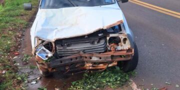 Un raído de yerba cayó de un camión e impactó contra una camioneta en Montecarlo