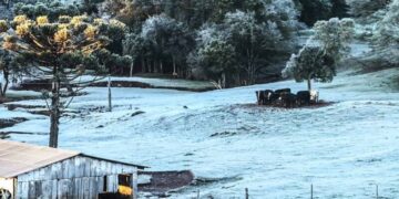 Misiones: pronostican un julio con lluvias superiores al promedio, frío intenso y posibles nevadas