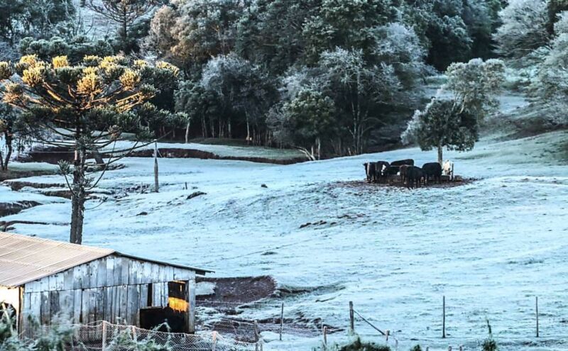 Misiones: pronostican un julio con lluvias superiores al promedio, frío intenso y posibles nevadas