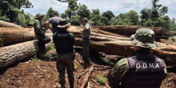 Misiones creó un registro para sancionar y controlar infractores ambientales