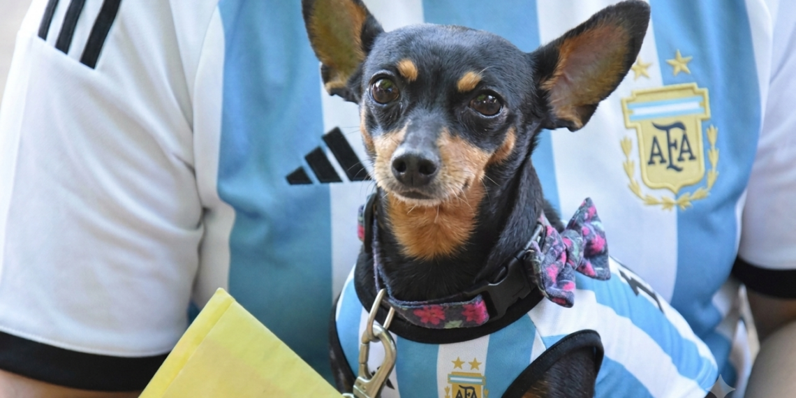 Posadas: el IMuSa fortalece la atención veterinaria en los barrios