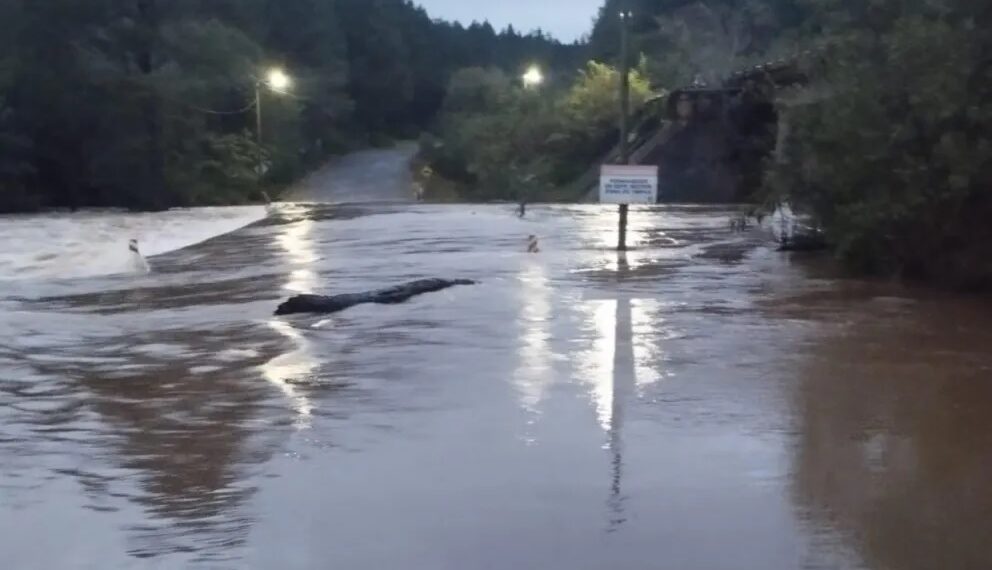 Jardín América: cortan el tránsito sobre la Ruta 7 por la crecida del arroyo Tabay