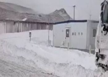 Temporal en Catamarca: 27 ° bajo cero, animales bajo la nieve y un grupo de mineros varado