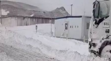 Temporal en Catamarca: 27 ° bajo cero, animales bajo la nieve y un grupo de mineros varado
