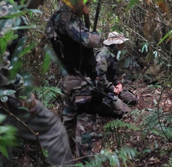 Hallan restos óseos humanos en el Parque Nacional Iguazú: investigan si corresponden a un hombre desaparecido